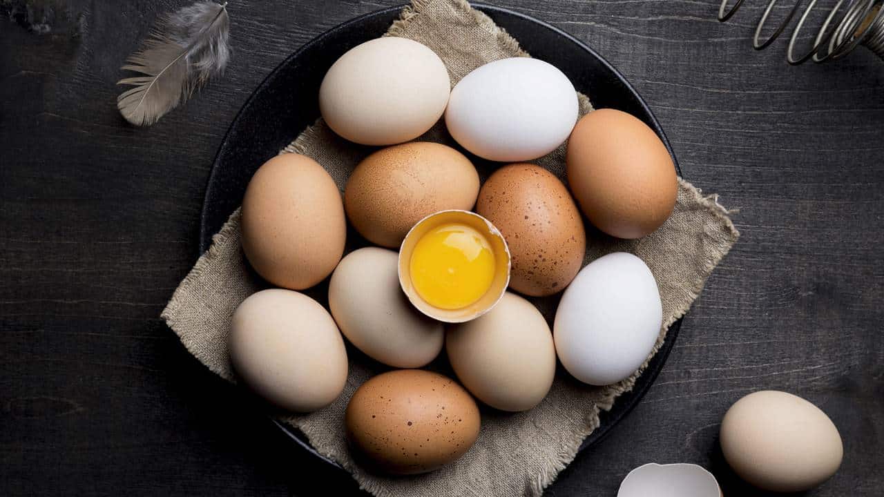 Qual é a real diferença entre ovos brancos e marrons? Aqui está a verdade que poucos sabem