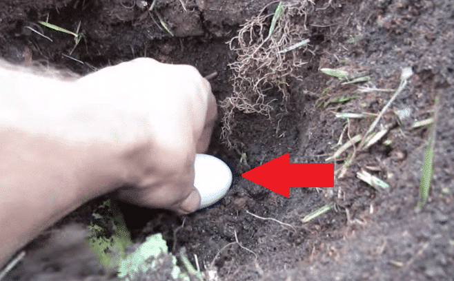 Você já enterrou um ovo na terra? Veja por que você deve fazer isso!