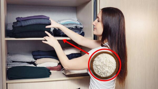 5 dicas de limpeza: Veja como evitar umidade em seus armários!