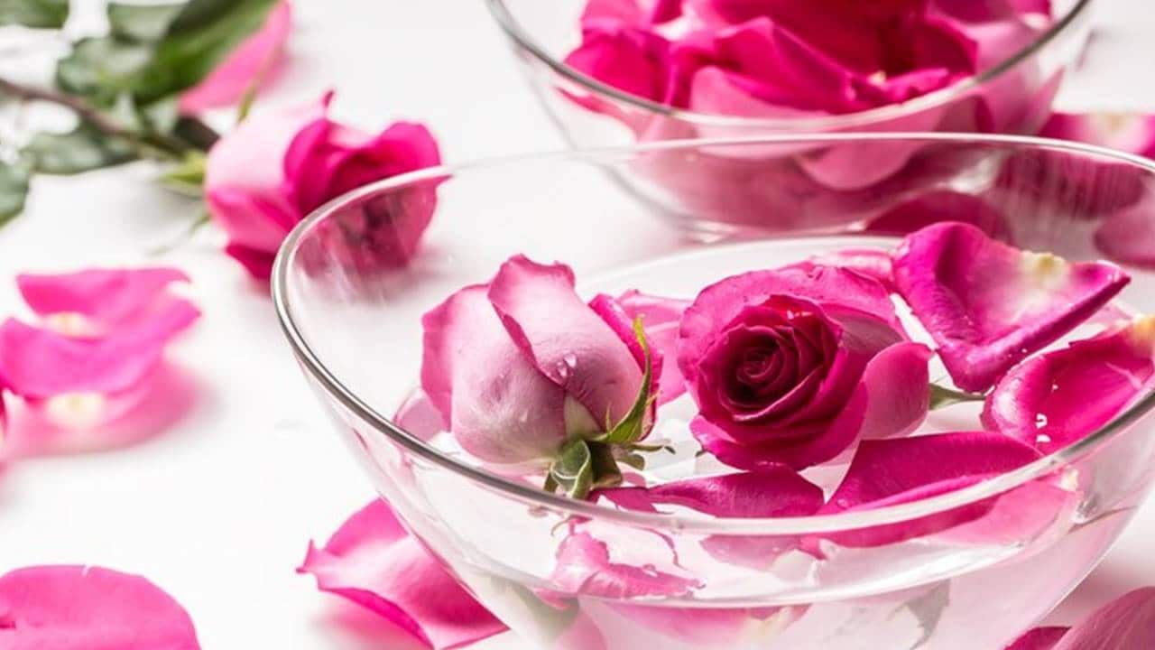 Perfume sua casa com rosas com estes 3 truques mágicos