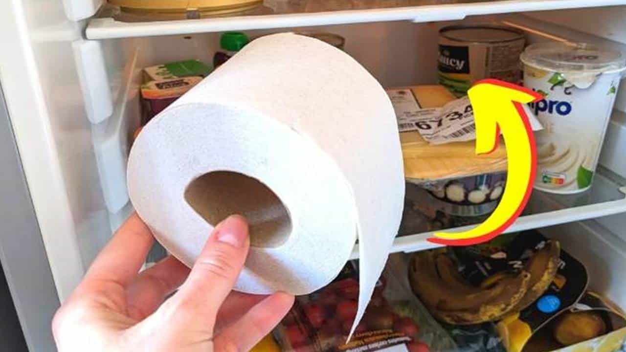 Por que mais e mais pessoas estão colocando um rolo de papel na geladeira?