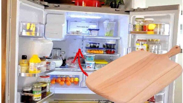 sua tábua na geladeira?