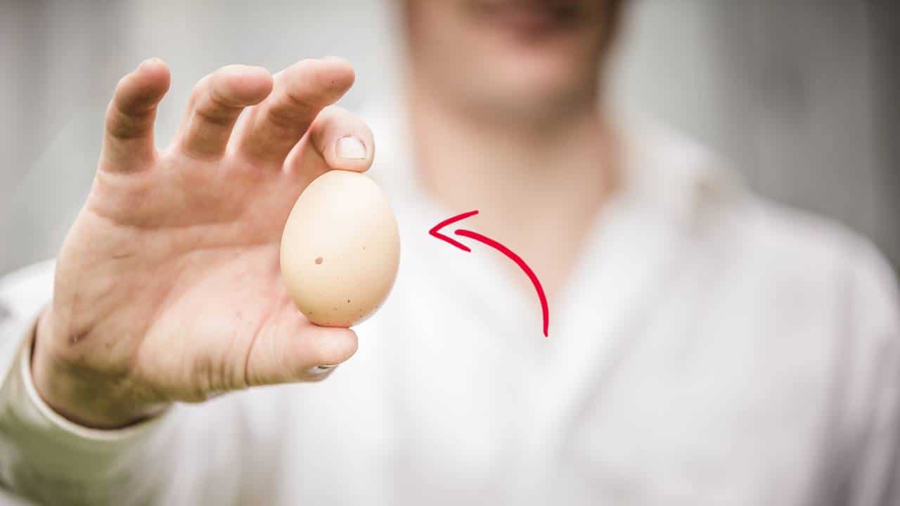 truques com ovos que você não sabia