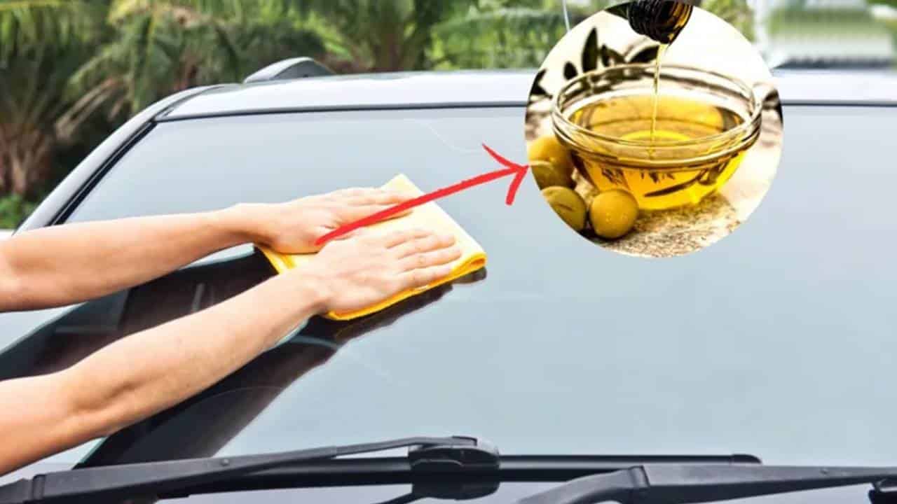 A surpreendente razão pela qual cada vez mais pessoas colocam azeite no para-brisa do carro
