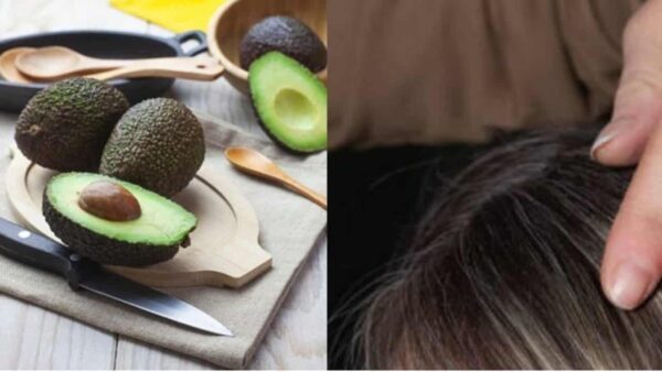 Aqui está SEGREDO de como usar o caroço de abacate para esconder cabelos grisalhos
