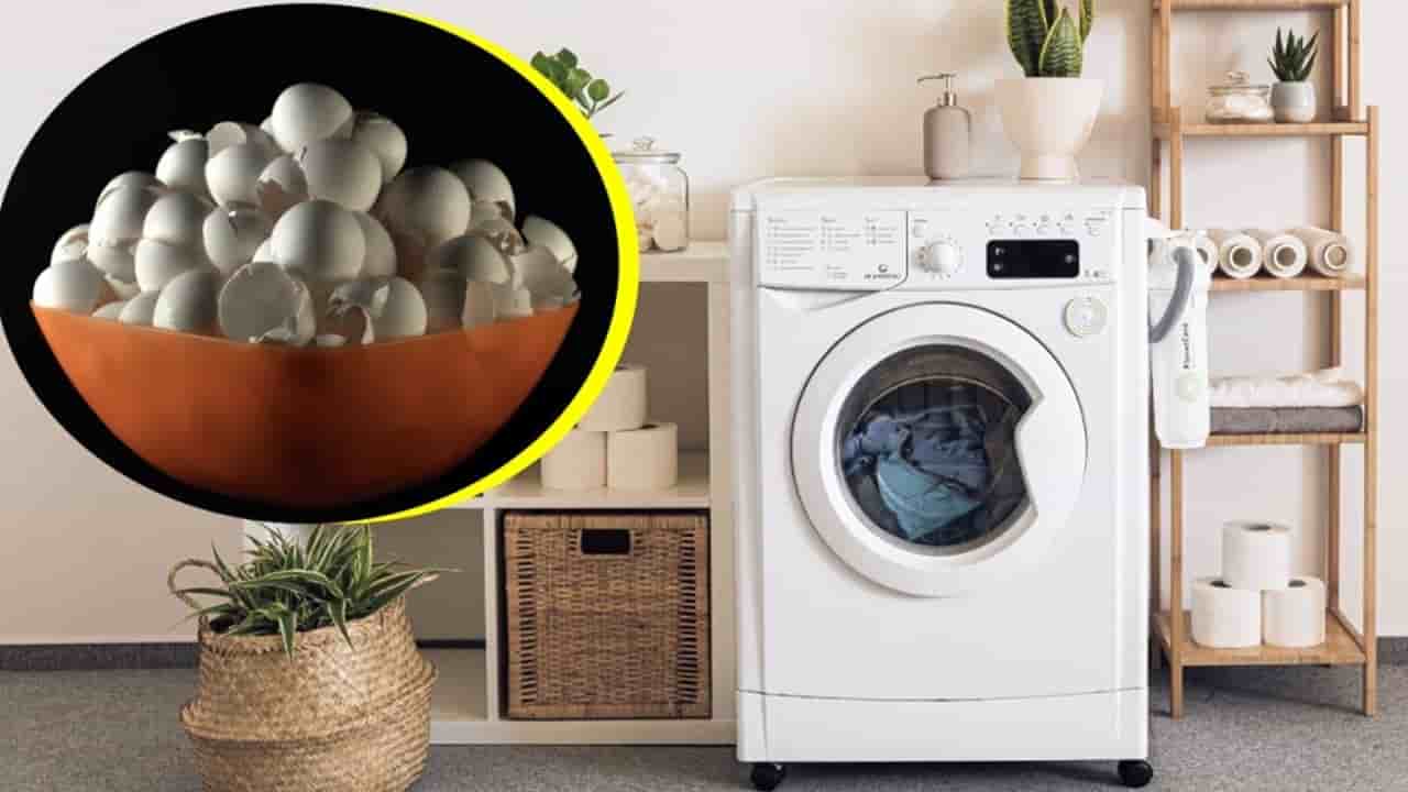 Por que as pessoas estão colocando cascas de ovos na máquina de lavar?