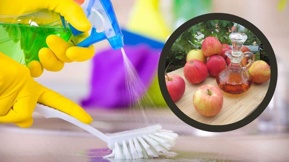 Esses são os 4 benefícios de limpar toda a casa com vinagre de maçã?