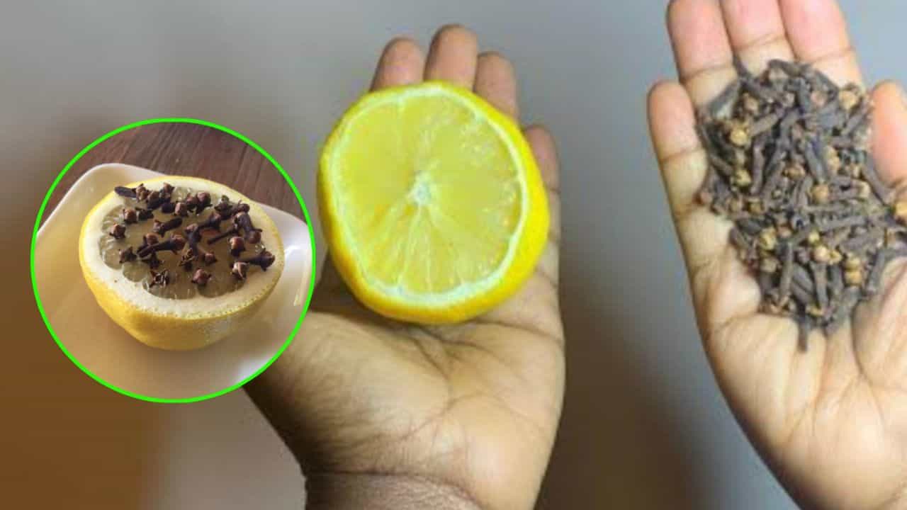 Truques Caseiros: o que a junção de limão e cravo pode resolver?