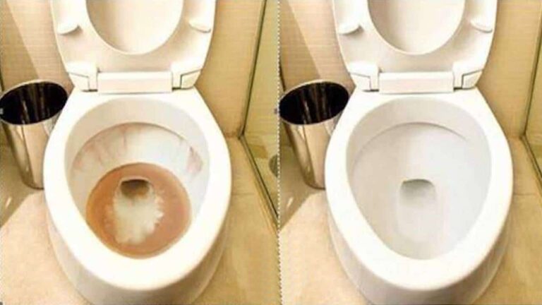 tirar encardido do vaso sanitário!