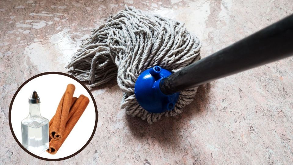 O jeito certo de limpar a casa com canela e vinagre e ter os melhores resultados