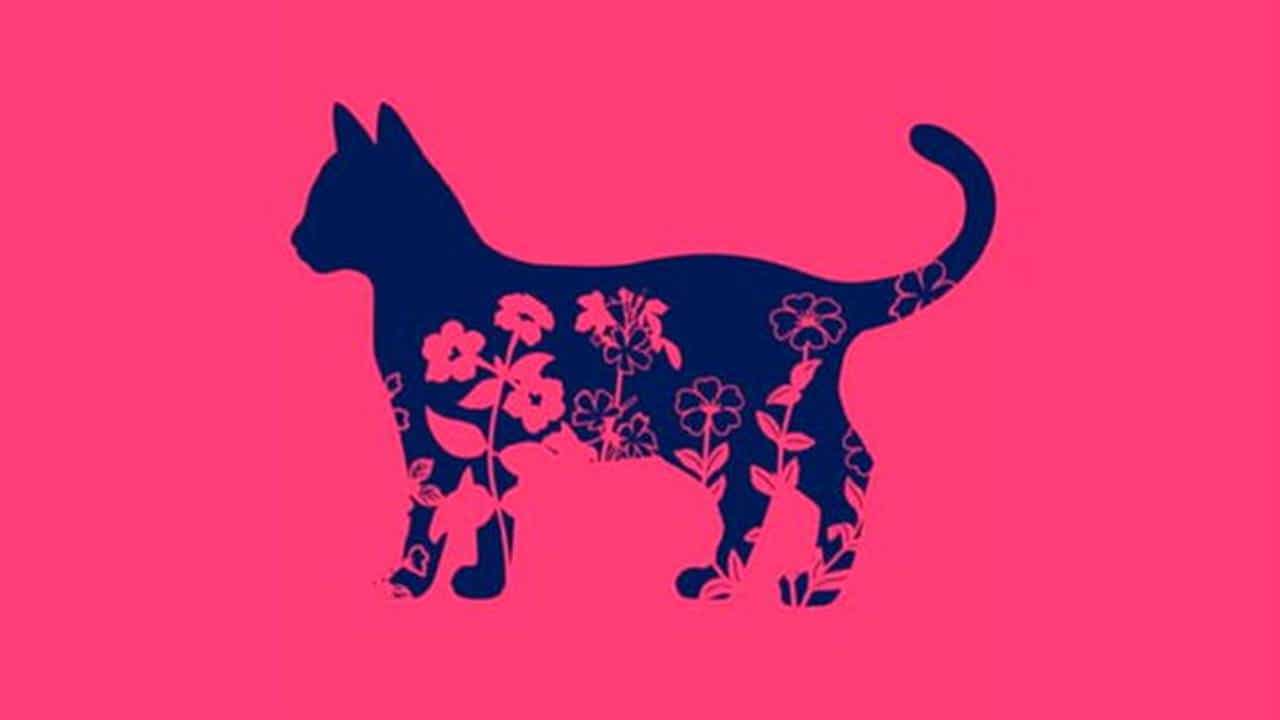 Flores ou um gato: O que este teste visual revelará sobre você?