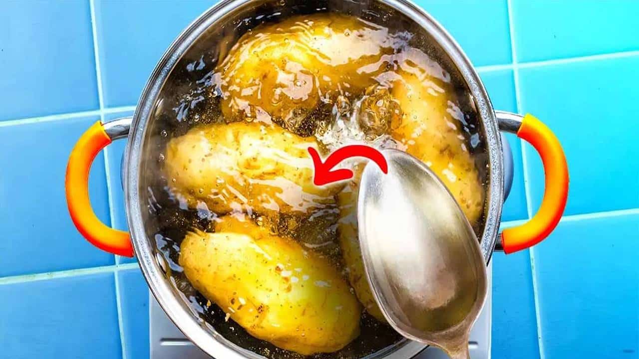 POR QUE é muito importante adicionar vinagre à água da batata?