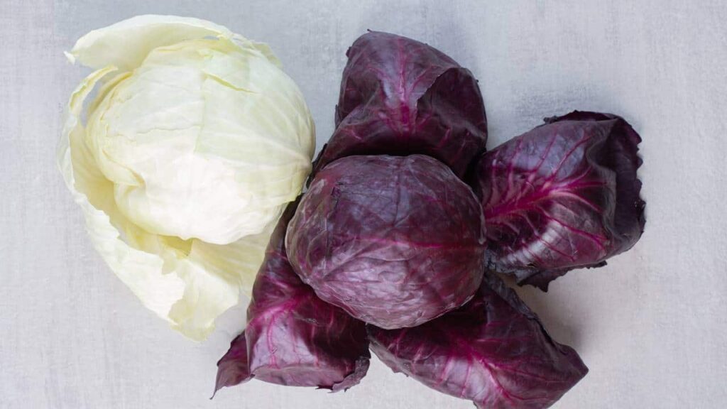 Qual o melhor repolho: Verde ou roxo?