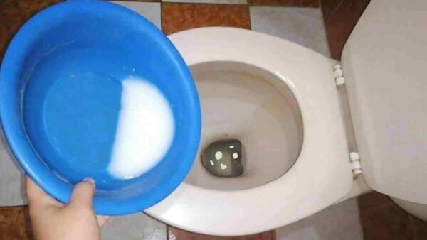 Limpar o banheiro pisos vasos sanitários