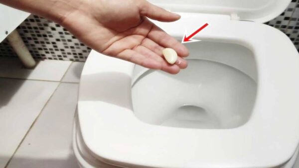 Por que você deve colocar 1 dente alho no VASO SANITÁRIO antes de dormir?