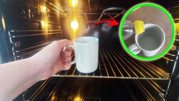 Aprenda o método eficaz para limpar o forno com um copo