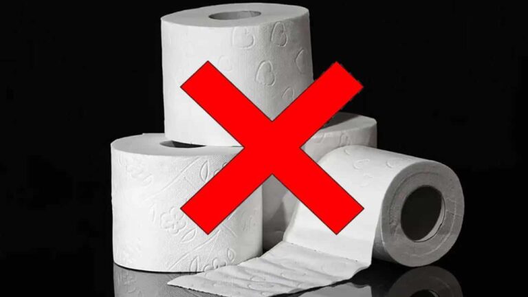 acabar com o uso do Papel Higiênico