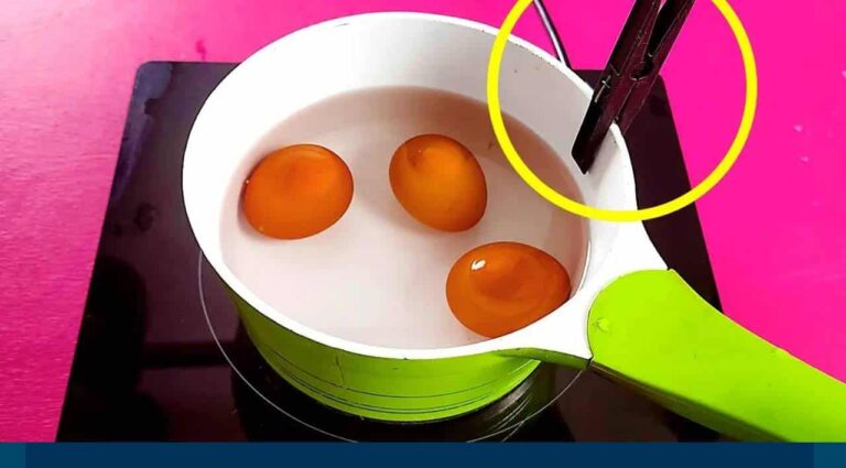 colocar um prendedor cozinhar os ovos?