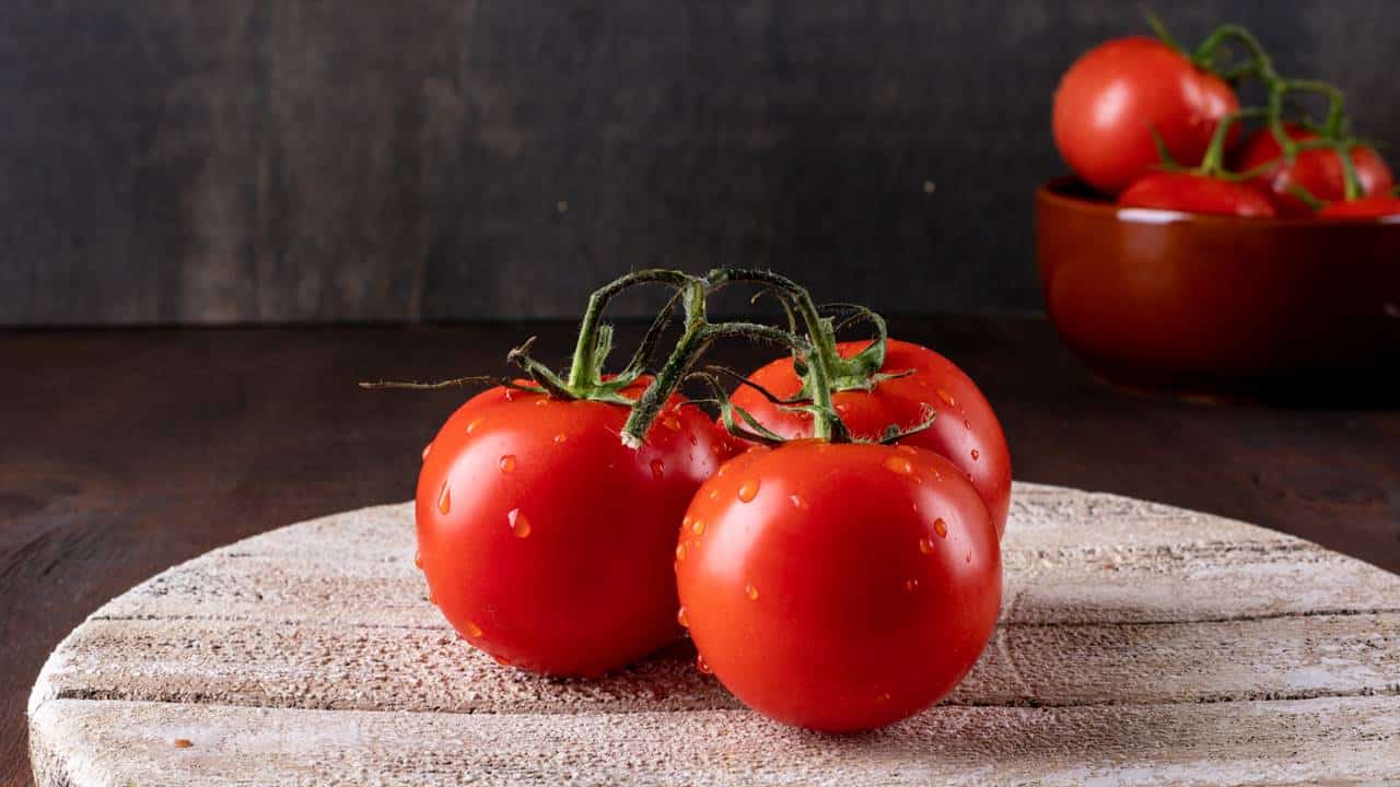 5 dicas profissionais e fáceis para evitar o mofo nos tomates