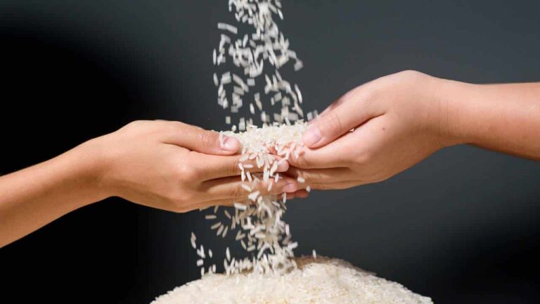 5 utilidades da ÁGUA DE ARROZ