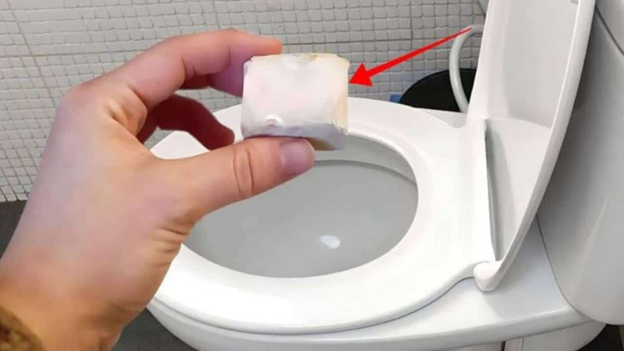 Veja como fazer pastilhas desinfetantes caseiras para seu banheiro