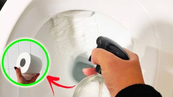 Como remover manchas amarelas de banheiro com rolo de papel higiênico