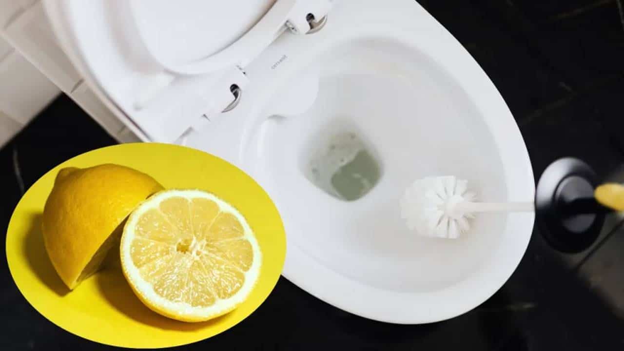 Método poderoso e barato com limão para limpar o vaso sanitário e deixá-lo branquinho