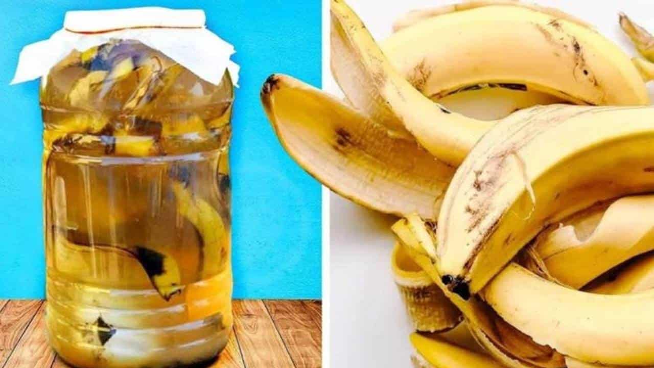 casca de banana em uma jarra