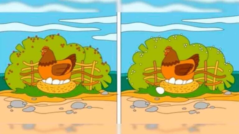 Teste sua habilidade visual neste DESAFIO MAX e encontre as diferenças