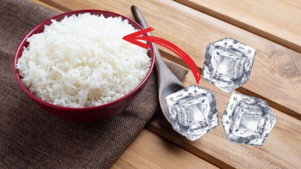 POR QUE as donas de casa estão colocando 3 pedras de gelo para requentar o arroz de ontem?
