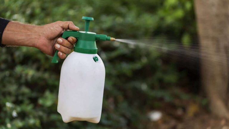 3 formulas poderosas e fáceis de fazer para matar ervas daninhas em sua calçada