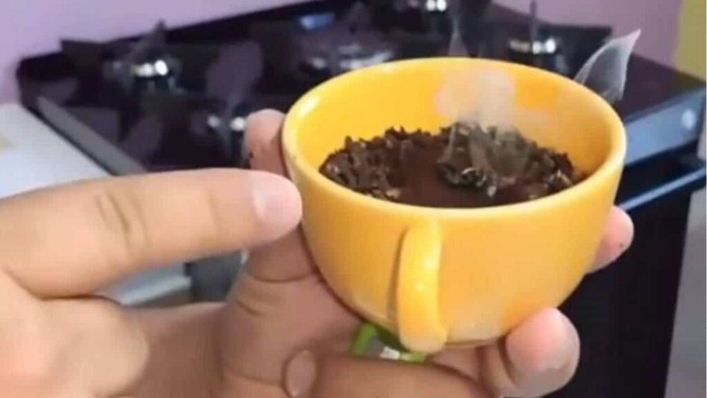 Aqui está o que você precisa para manter moscas, mosquitos e baratas longe de sua casa