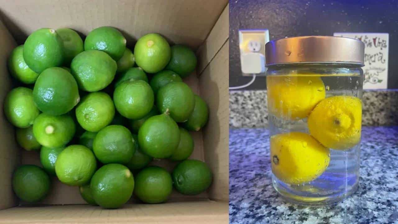 Por que você deve armazenar o limão na água?