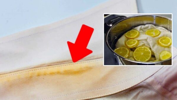 Métodos eficazes para remover manchas de colarinhos e punhos de camisa