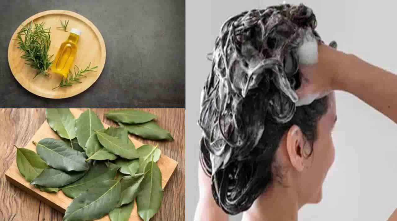 Como preparar um shampoo antigrisalho  com alecrim e orégano