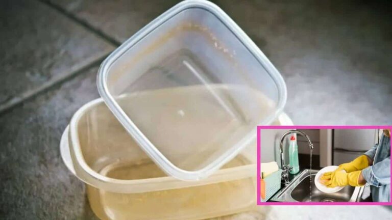 Diga adeus as vasilhas plásticas amareladas