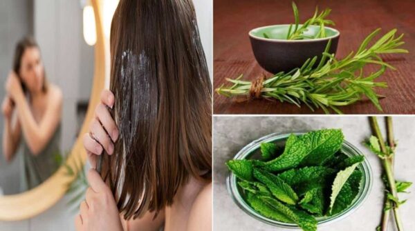 Máscara de alecrim com menta: o melhor tratamento para recuperar o cabelo