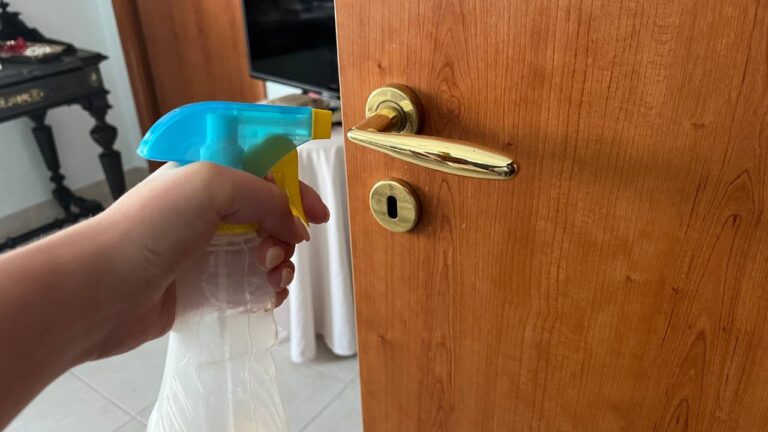 Por que as donas de casa borrifam vinagre nas maçanetas antes de dormir?