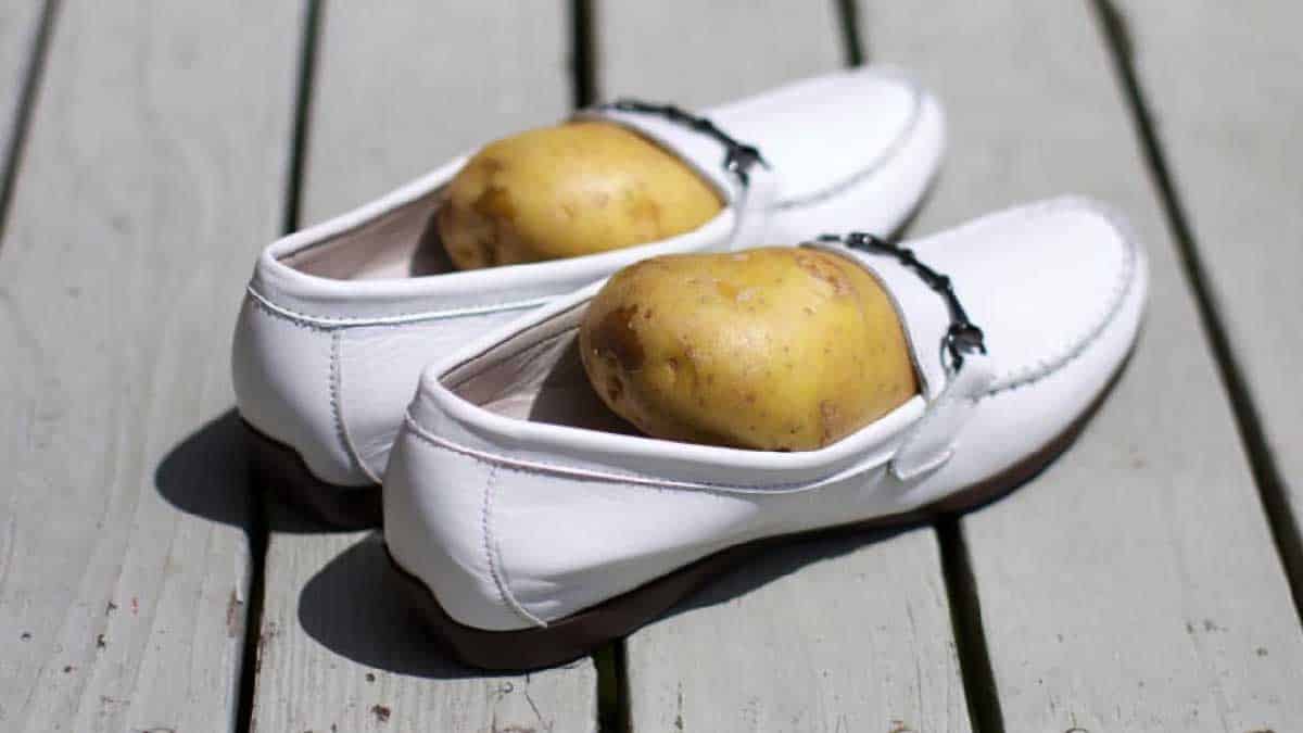 Por que as pessoas colocam uma batata nos sapatos antes de dormir?