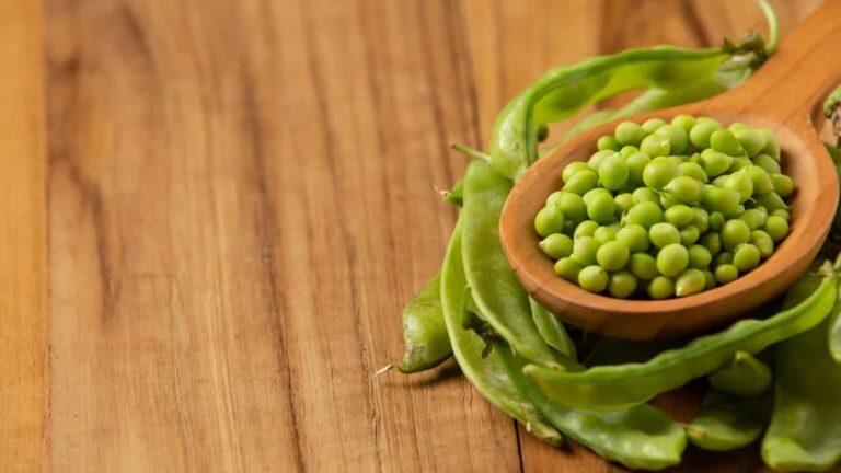 Preparei um delicioso feijão verde com batatas e molho de tomate