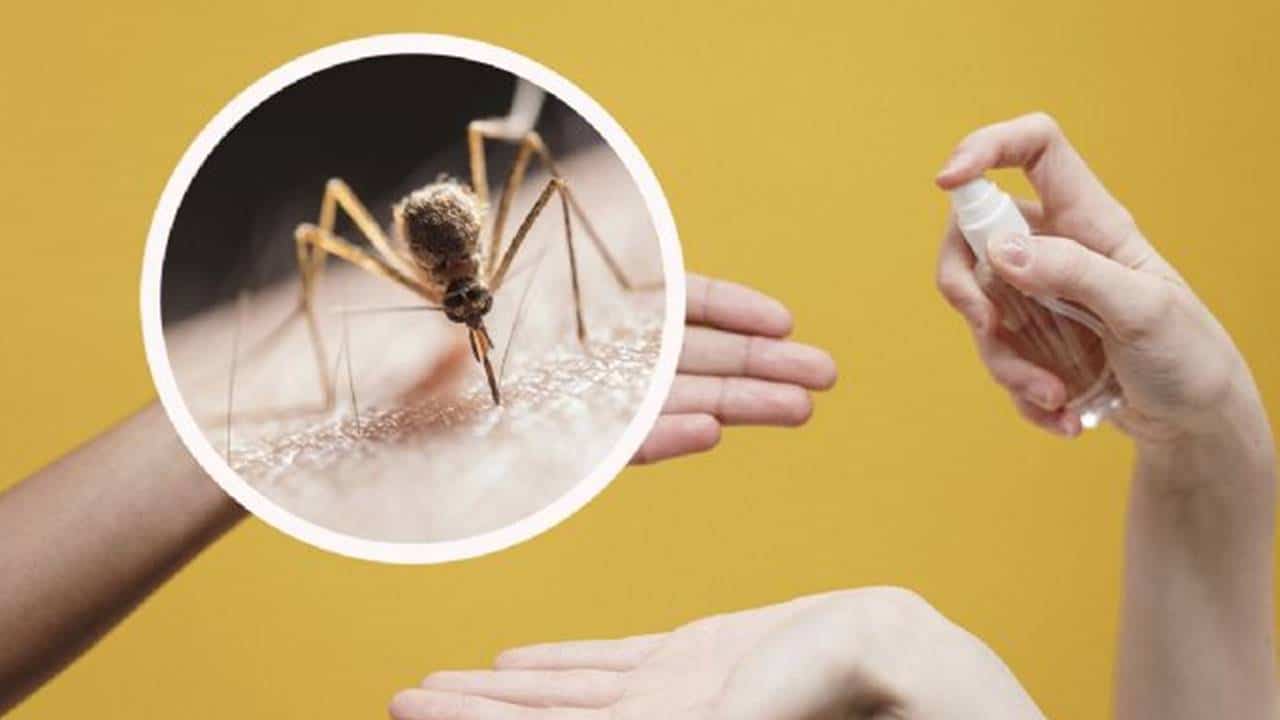Aprenda a fazer repelente de mosquitos com frutas
