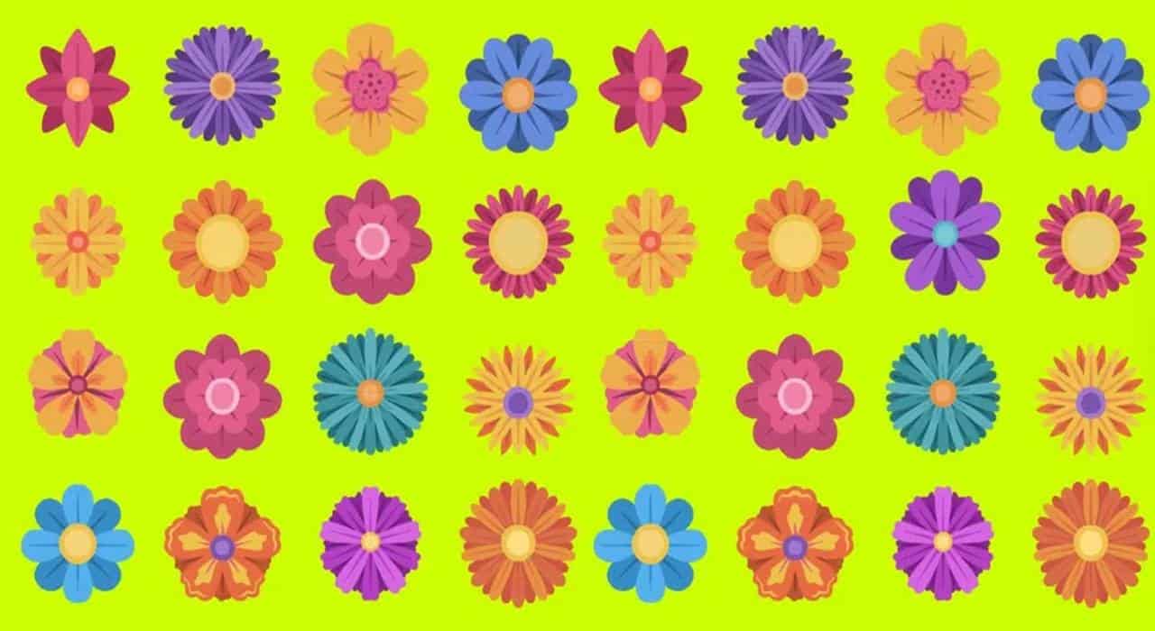 TESTE VISUAL: Descubra qual flor não tem um par em 10 segundos