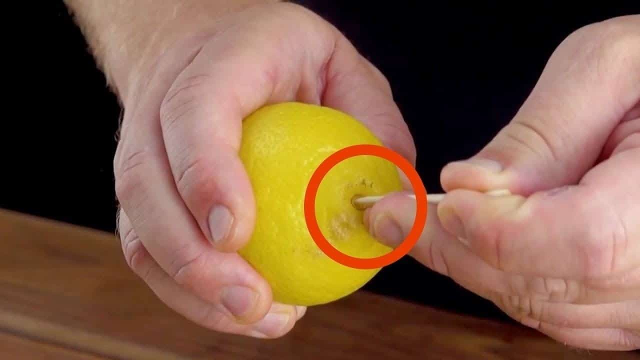 pessoas enfiam 1 palito no limão?