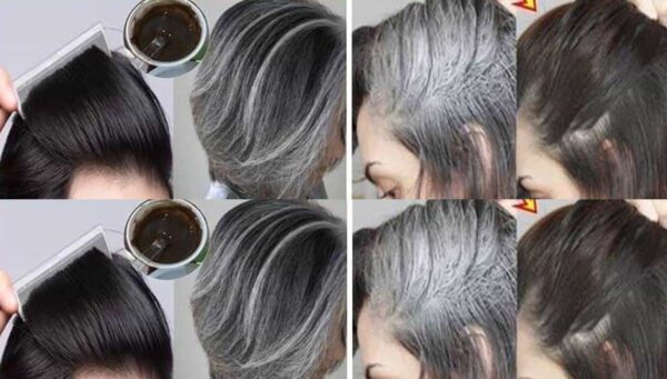 Pinte o cabelo grisalho sem usar química com esta tintura natural