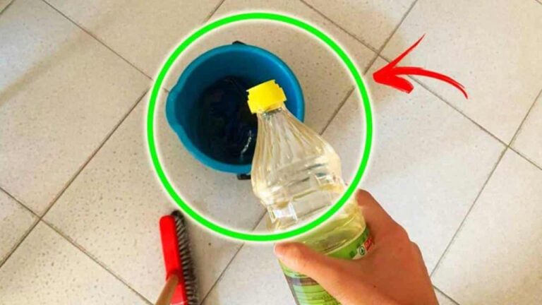 5 maneiras de usar vinagre branco Mistura