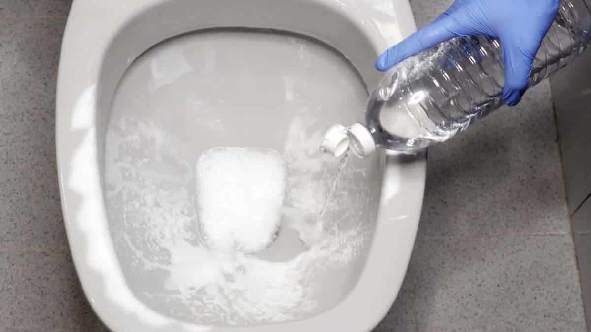Por que você deveria colocar sal no vaso sanitário 1 vez por mês?