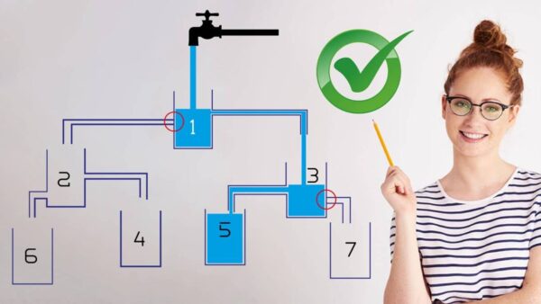 TESTE EXTREMO: Um desafio para cérebros de alto QI