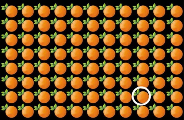 TESTE DIFÍCIL? Ache a tangerina que esta escondida entre as laranjas