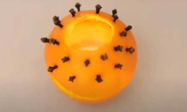 O truque que poucos sabem para afugentar mosquitos com casca de laranja