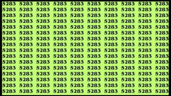 Teste sua visão: encontre o número 5253 entre 5283 neste Desafio